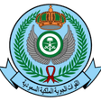 القوات الجوية الملكية السعودية