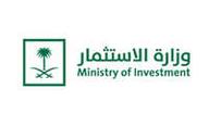 وزارة الاستثمار
